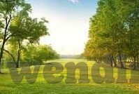 绿城足球最新比分-绿城足球最新比分解析，逆境中绽放的坚韧之花