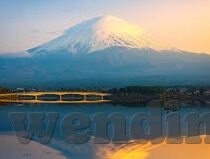 五人制足球比分-五人制足球比分背后的激情与策略，小球场上的大智慧