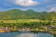 足球 比分 统计-足球比分统计，数字背后的战术博弈与历史回响
